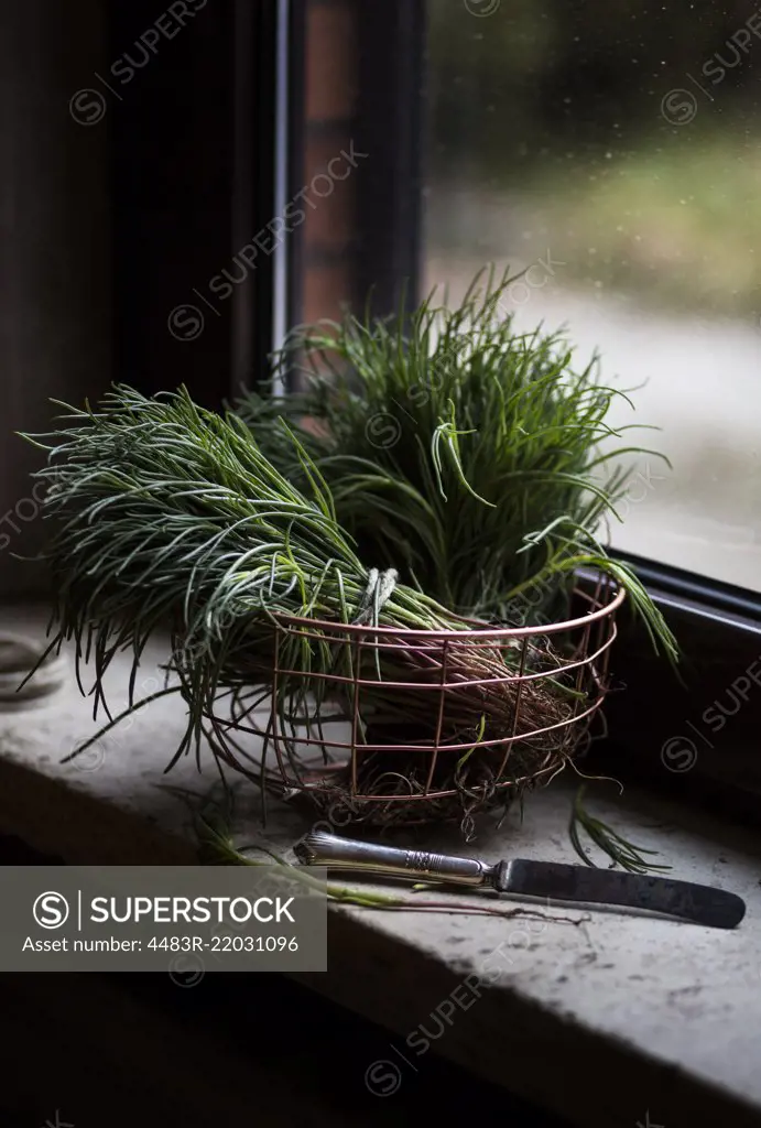 Basket with agretti on the windowsill