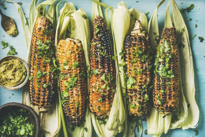 Summer vegan dinner or snack. Flat-lay of grilled sweet corn with smoked sea salt, cilantro and pesto sauce over blue background, top view. Vegetarian, healthy, clean eating, alkaline diet concept