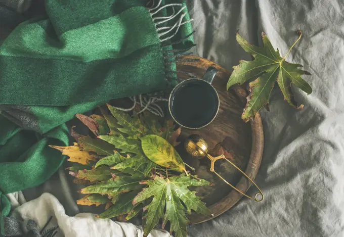 Fall morning tea in bed. Flat-lay of mug of tea with sieve and colorful fallen leaves on rustic wooden tray over bed linen and blanket background, top view. Autumn mood concept