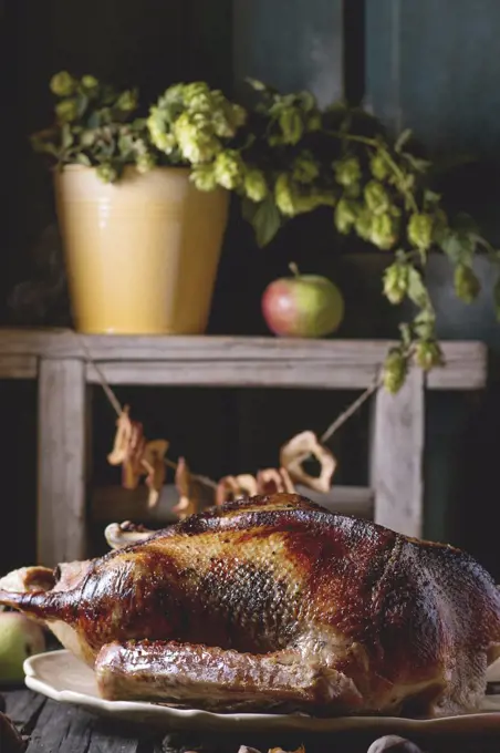 Roast stuffed goose on ceramic plate with ripe apples over wooden kitchen table. Dark rustic style.