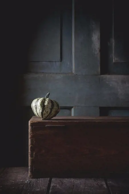 One decorative pumpkin on wooden chest over wooden background. Dark rustic style