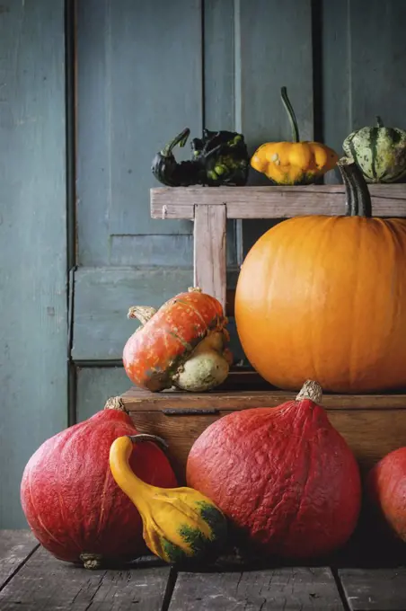 Assortment of different edible and decorative pumpkins on wooden chest over wooden background.