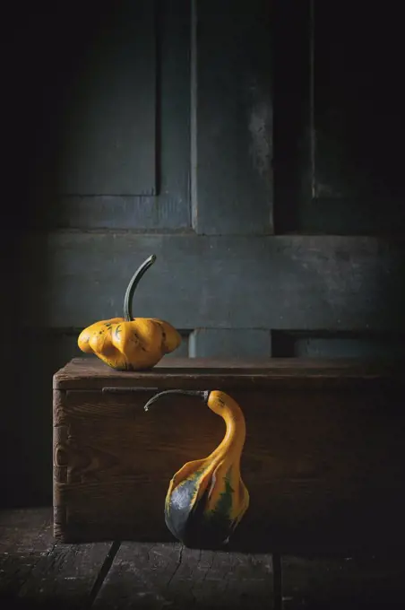 Two decorative pumpkins on wooden chest over wooden background. Dark rustic style