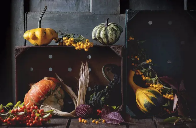 Assortment of different edible and decorative pumpkins and autumn berries in wooden box over wooden background.