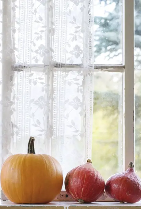 Assortment of different pumpkins on rustic window sill. Natural day light
