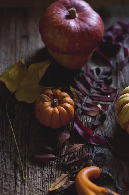 Different varieties of pumpkins and Autumn leaves on a rustic wooden table