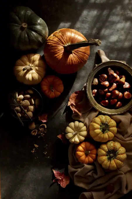 Pumpkin and nuts, fall image