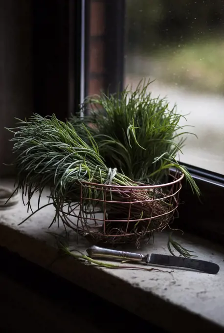 Basket with agretti on the windowsill