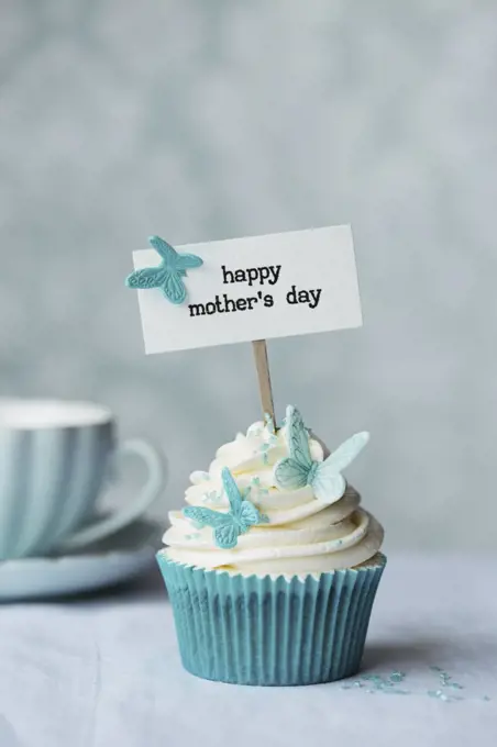Mother's day cupcake with butterflies