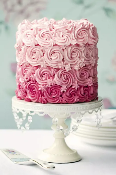 Ombre cake in shades of pink by Ruth Black at The Picture Pantry