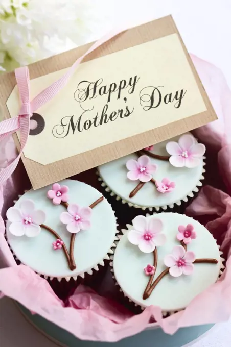 Gift box of Mother's day cupcakes