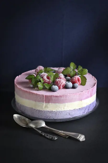 Ice cream cake with blueberry,raspberry and vanilla