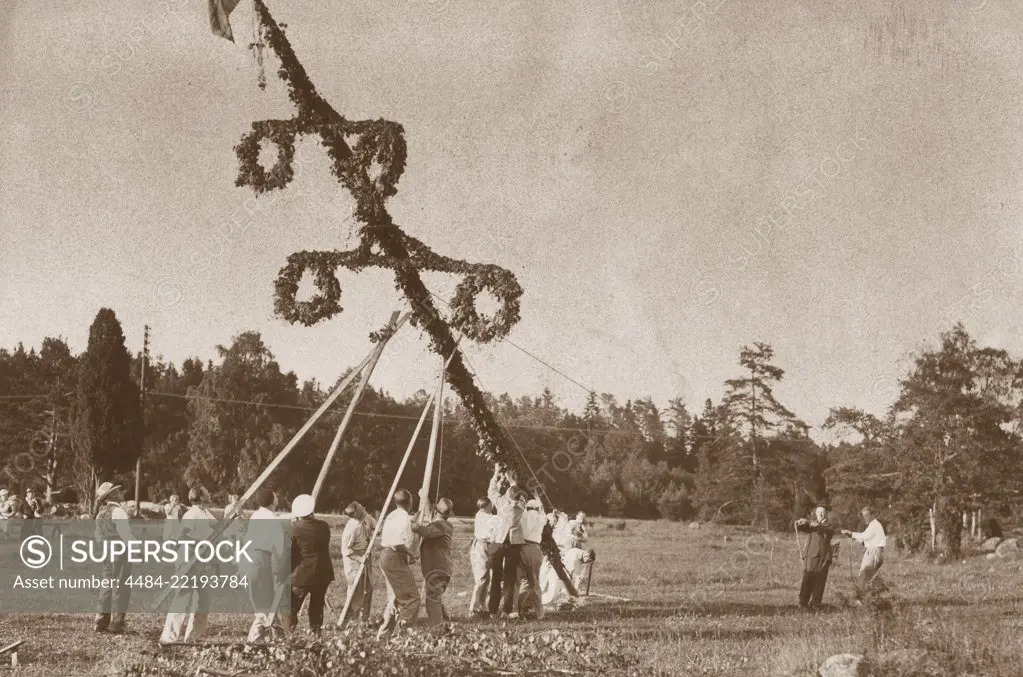 Midsummer tradition in the 1930s. As a part of the festivities a Maypole is risen and here a group of people rises the pole before beginning to dance around it. Sweden 1930s.