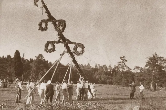 Midsummer tradition in the 1930s. As a part of the festivities a Maypole is risen and here a group of people rises the pole before beginning to dance around it. Sweden 1930s.