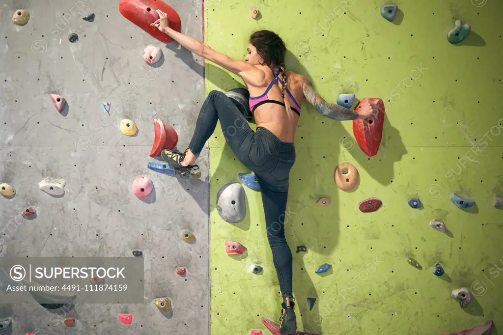 From below back view of unrecognizable athlete tattooed powerful woman climbing on colorful wall with ledges for climbers in room