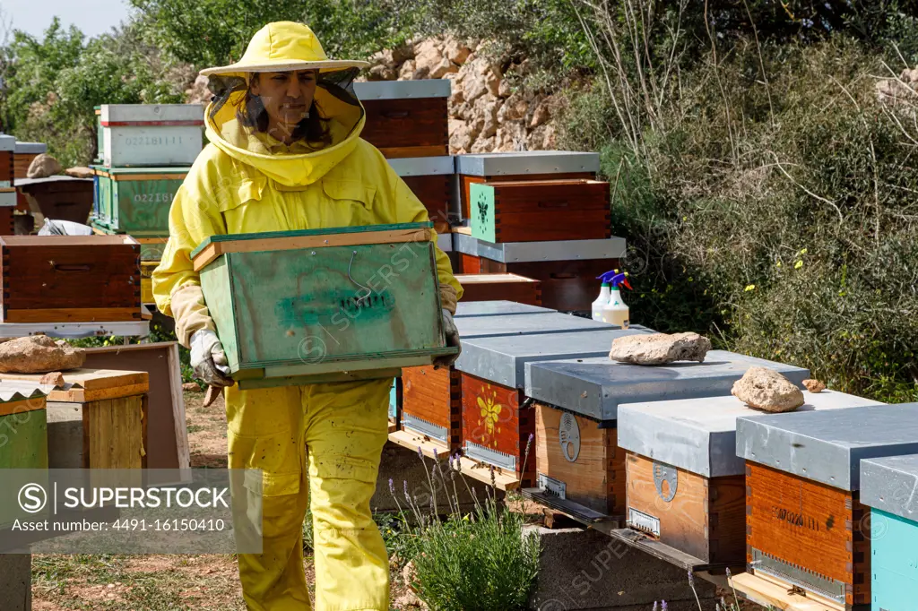Professional female beekeeper in yellow costume carrying honeycomb crate while working in apiary in summer day