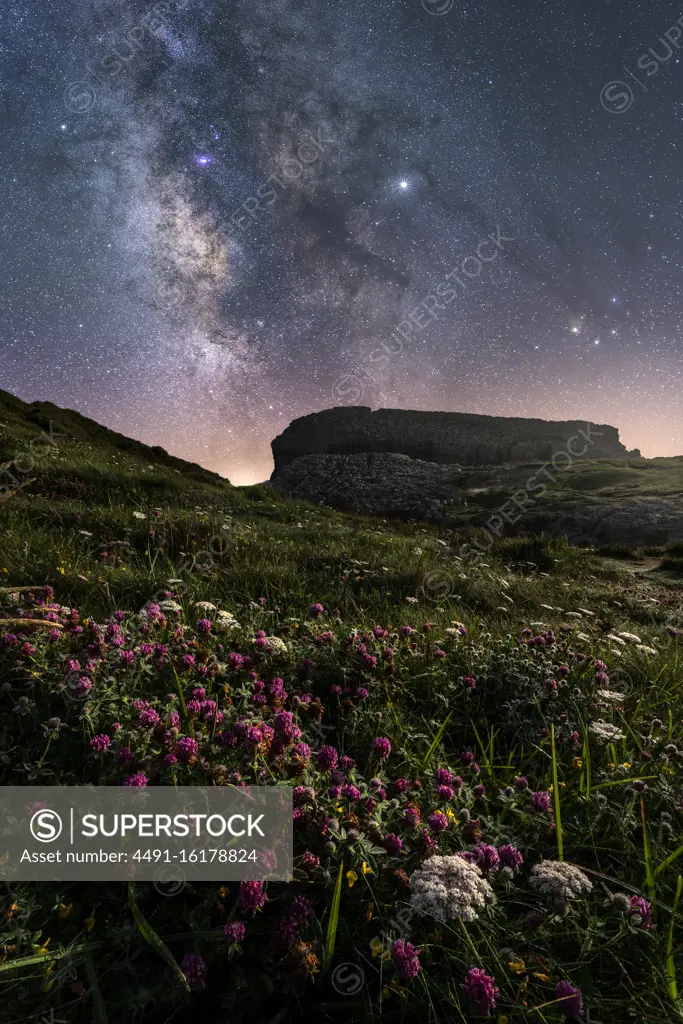 White field flowers and green grass on hill with colorful bright sky with milky way on background