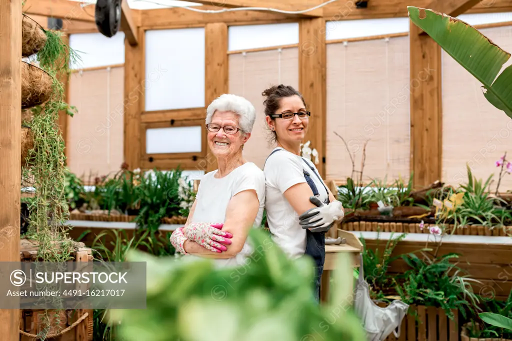Side view of positive elderly and adult women in gloves and glasses smiling for camera and crossing arms while working in indoor garden together
