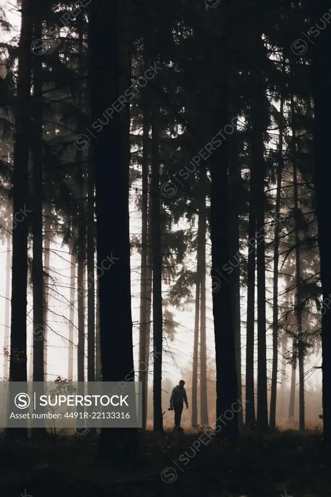 Traveler in dark foggy woods