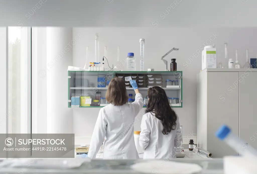 Back view of women in whites standing and taking equipment from shelf in laboratory.