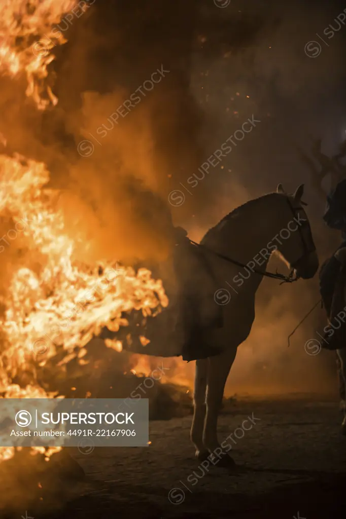 Horse riding through bonfire in a purification ritual