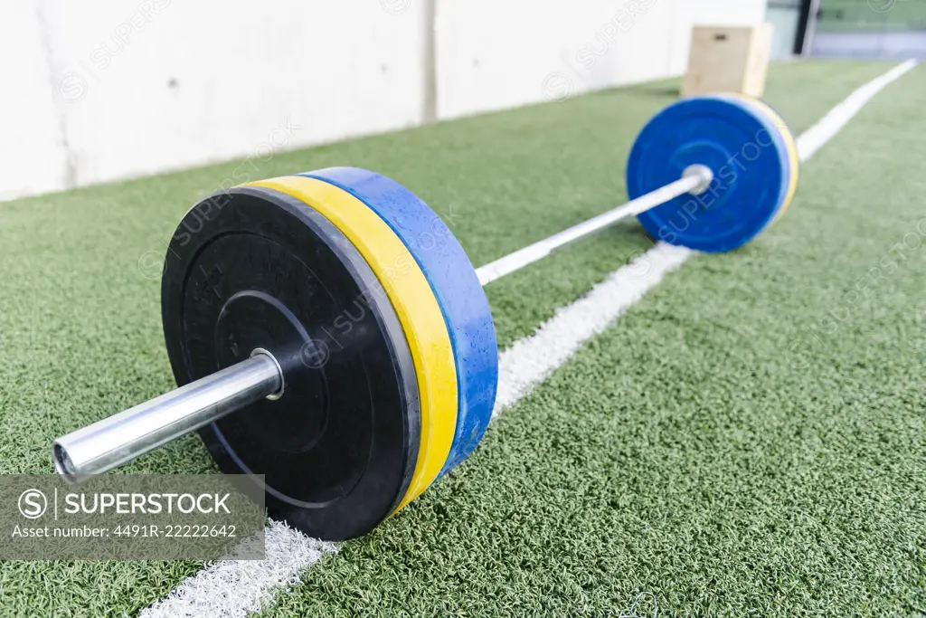 Closeup barbell with heavy weights on green grass on sports ground -  SuperStock