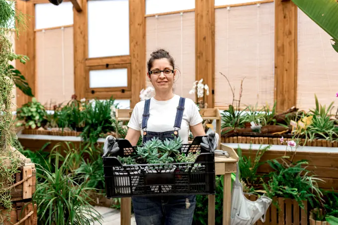 Adult happy woman smiling looking at camera and carrying plastic box with succulents while working in wooden greenhouse