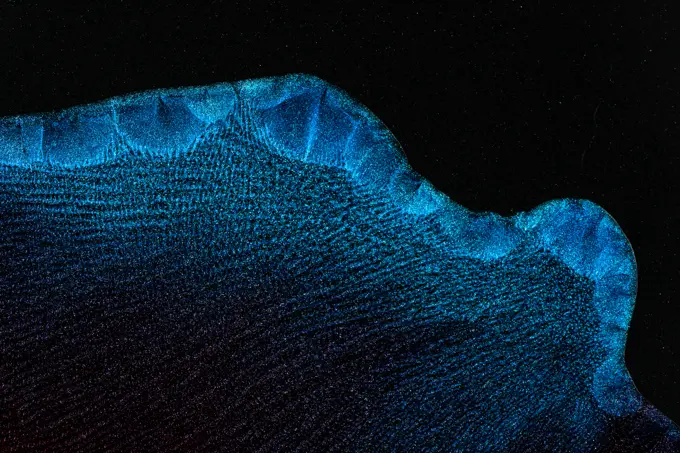 Closeup dust of metallic pigment sparkling blue
