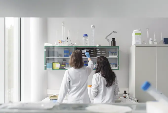 Back view of women in whites standing and taking equipment from shelf in laboratory.