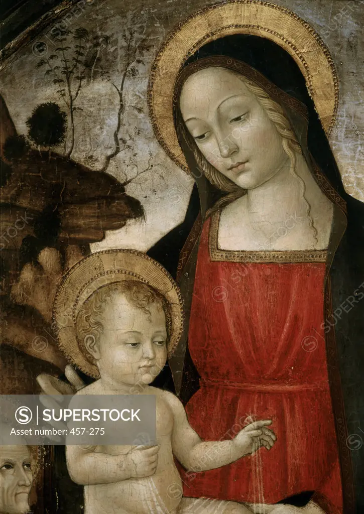 Madonna with Child (Detail)  Bartolomeo Montagna (c. 1450-1525 Italian)  Oil on Wood Panel  Pinacoteca di Brera, Milan 