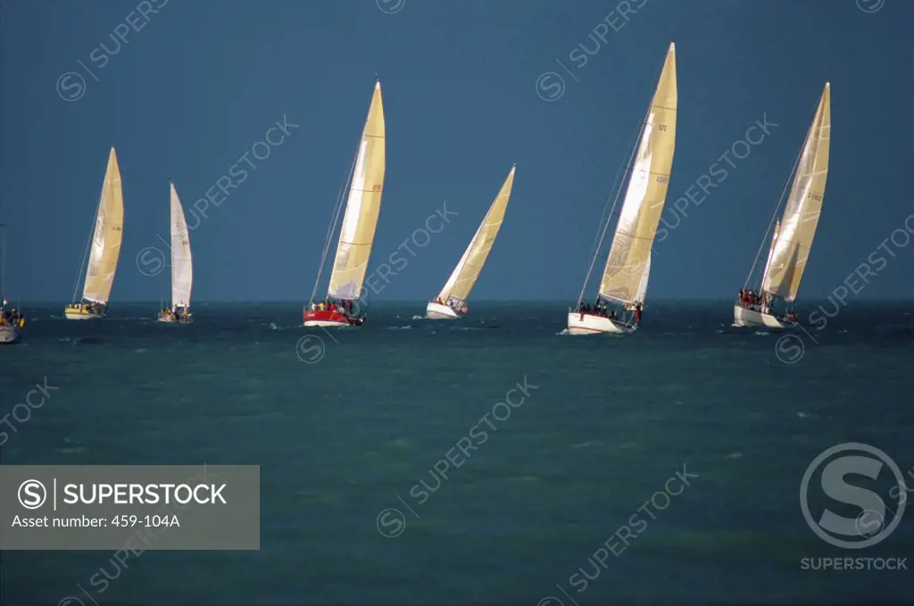 Yacht Race Florida USA  
