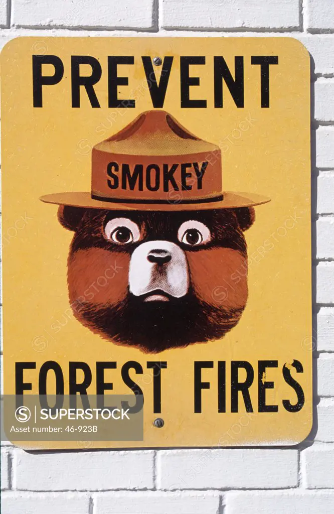 Forest fire prevention sign,  USA,  New York State,  Woodstock