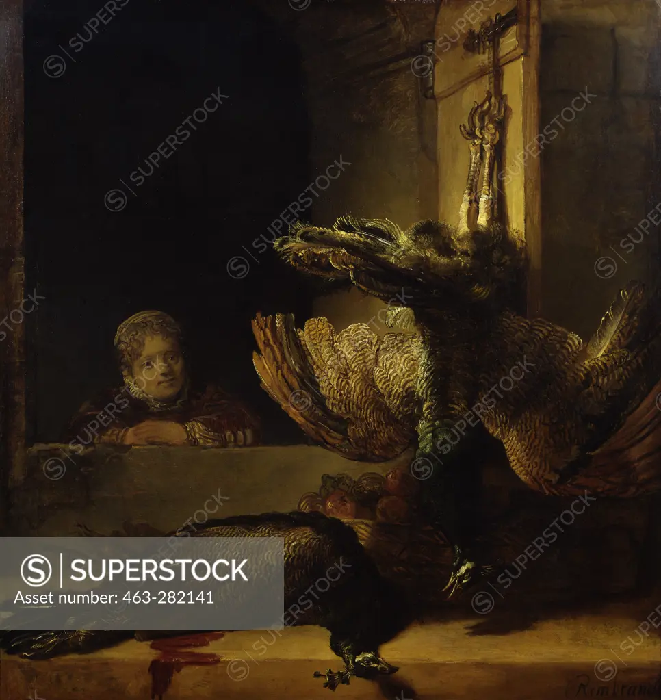Rembrandt / Still-life with dead peacock