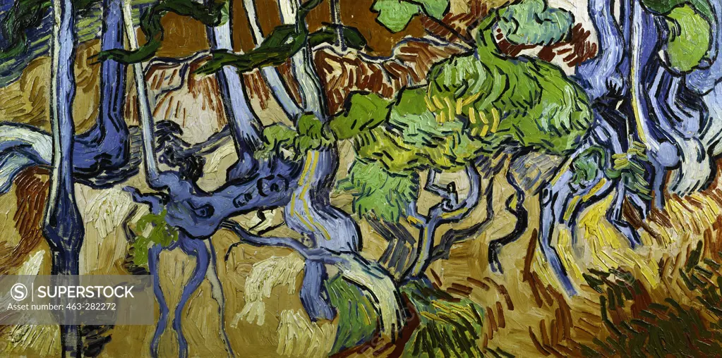 V.v.Gogh / Tree roots and tree trunks
