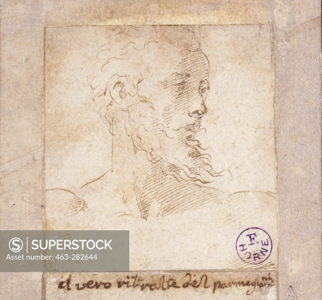 Parmigianino / Bearded Man / Pen-a.-Ink