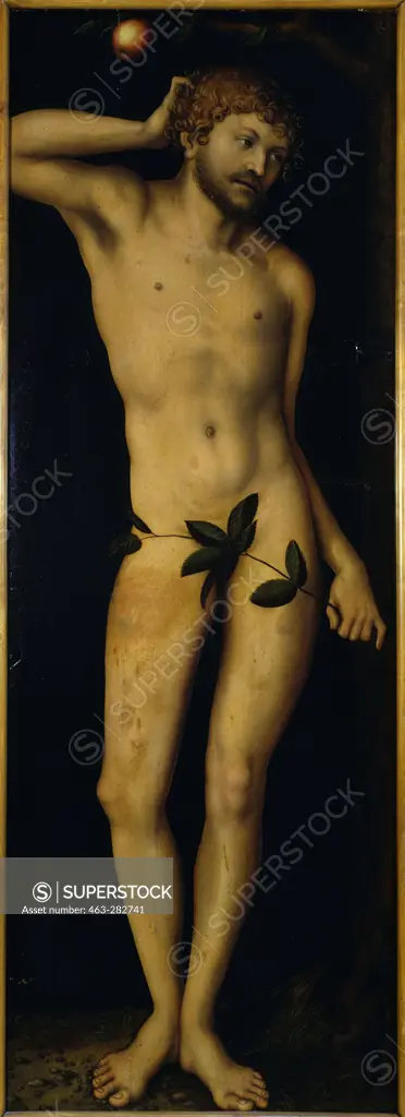 L.Cranach the Elder / Adam / 1528