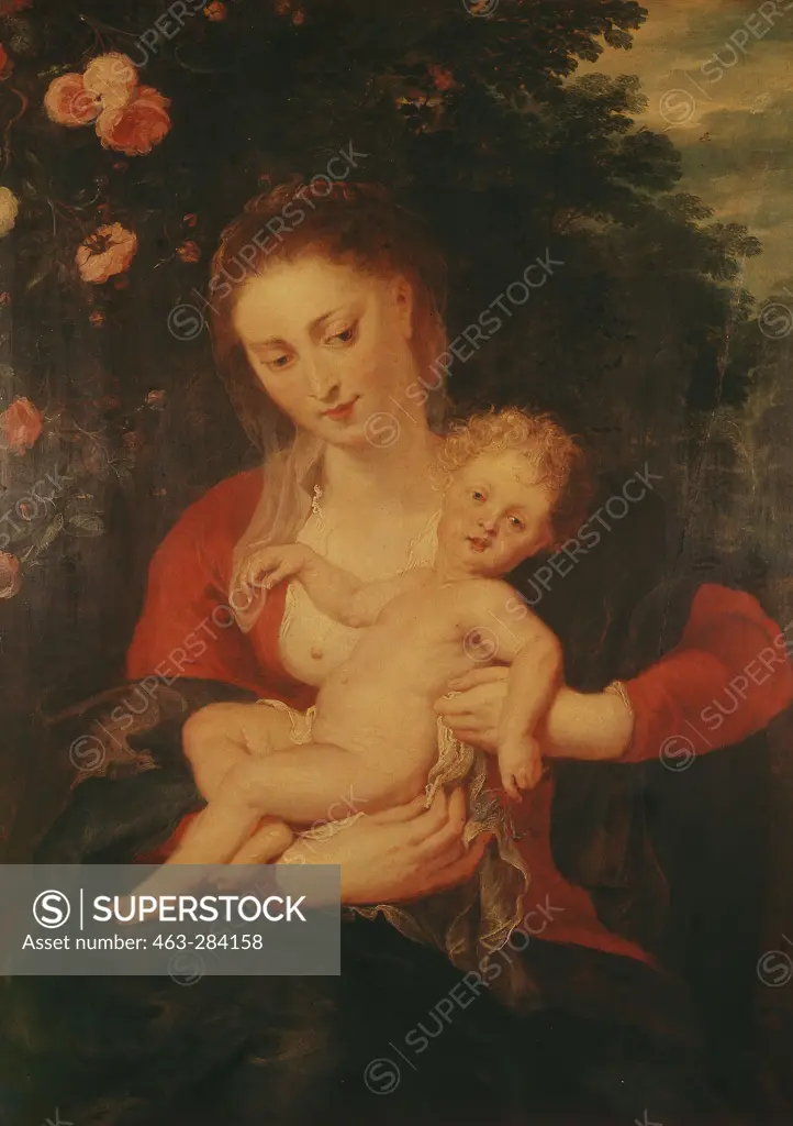 Madonna with forget-me-not / Rubens