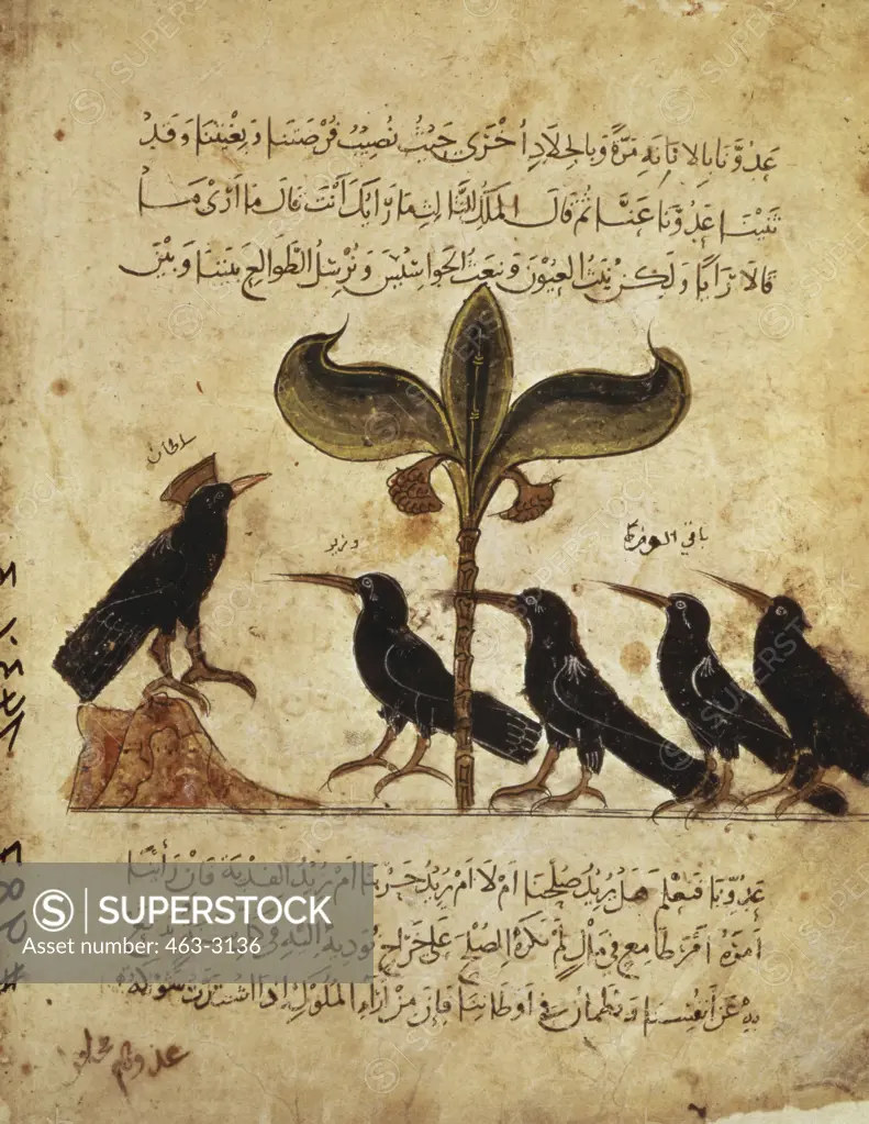 The Council of the Ravens Arabic Book Illustration 1350 Manuscripts Bibliotheque Nationale, Paris, France