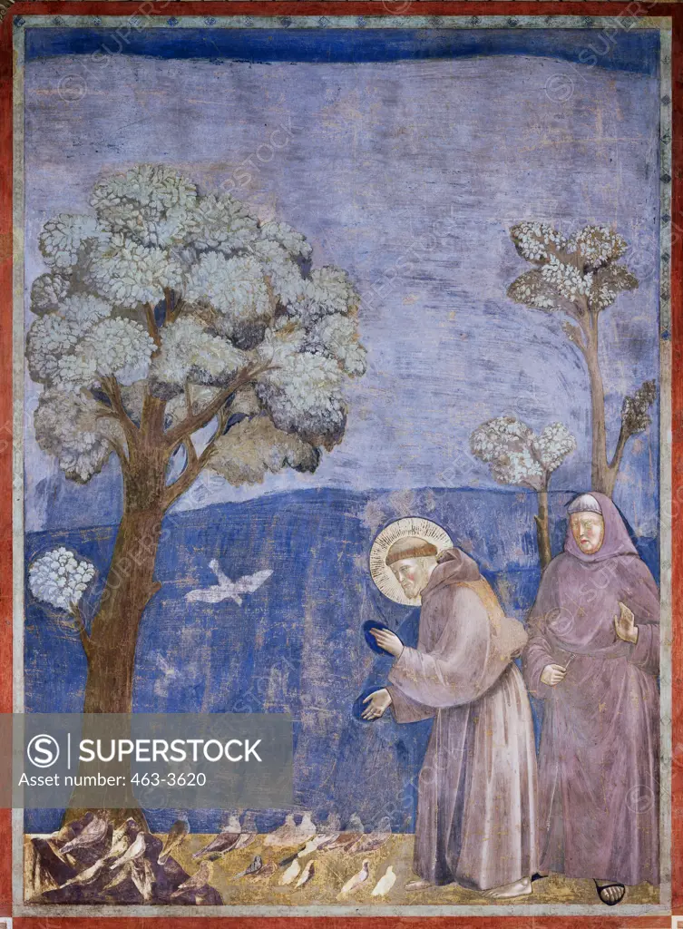 St. Francis of Assisi Preaching to the Birds Giotto Di Bondone C. 1266-1337 Florentine Church of S. Frances Assisi Itali 