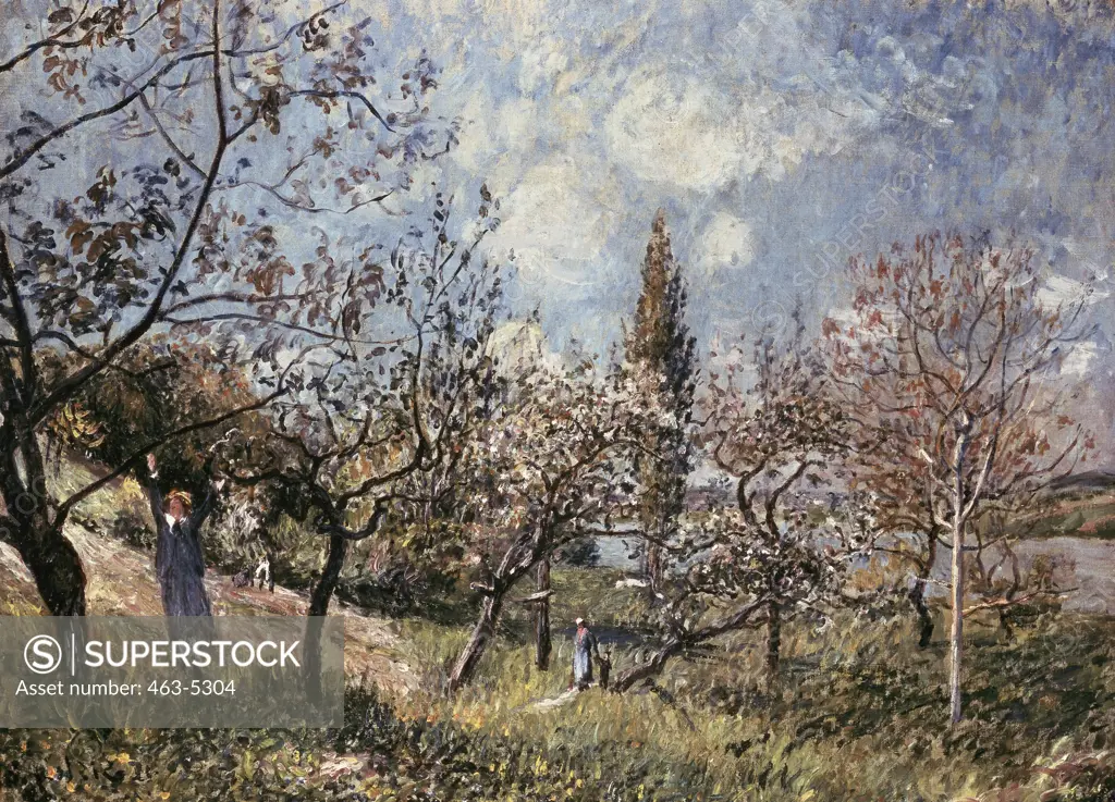 Orchard In Spring 1881 Alfred Sisley (1839-1899 French) Oil on canvas Museum Boijmans Van Beuningen, Rotterdam, Netherlands