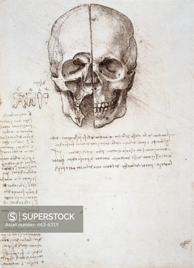 Anatomy Studies: Skull Section with Sagittal Section and Opened Jaw Cavity/Teeth Studies Leonardo da Vinci (1452-1519 Italian) Royal Library, Windsor Castle, England