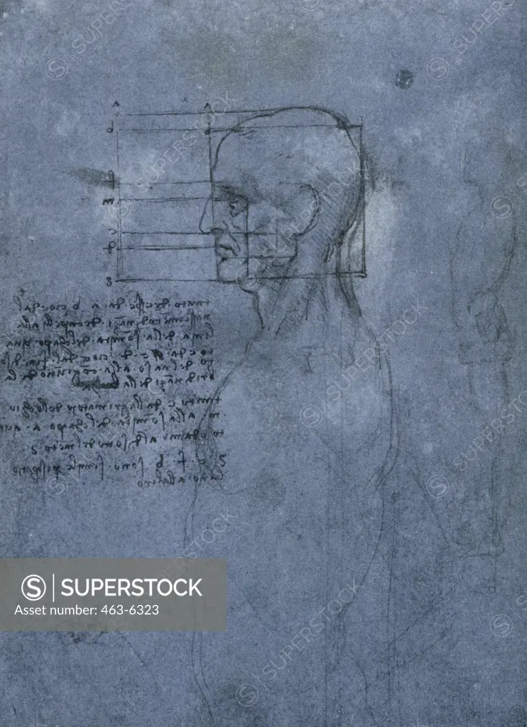 Study of Proportion of a Male Head in the Profile Leonardo Da Vinci 1452-1519 Florentine Windsor Castle Royal Library 