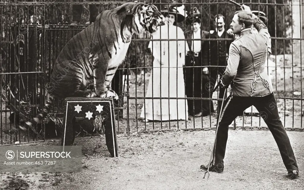 Animal tamer with a tiger performing in a circus, c. 1910
