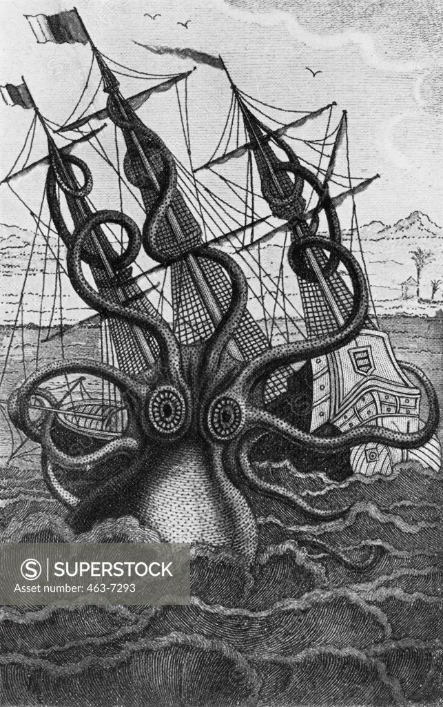 Repulsive Giant Squid Artist Unknown Print
