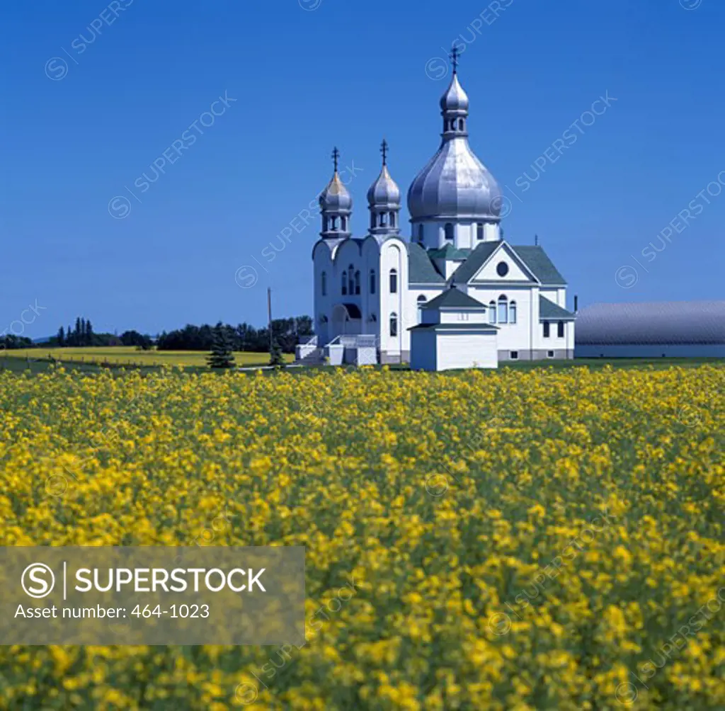 Canada, Saskatchewan, Wakaw, St. Julien Church, Church in an oilseed rape field