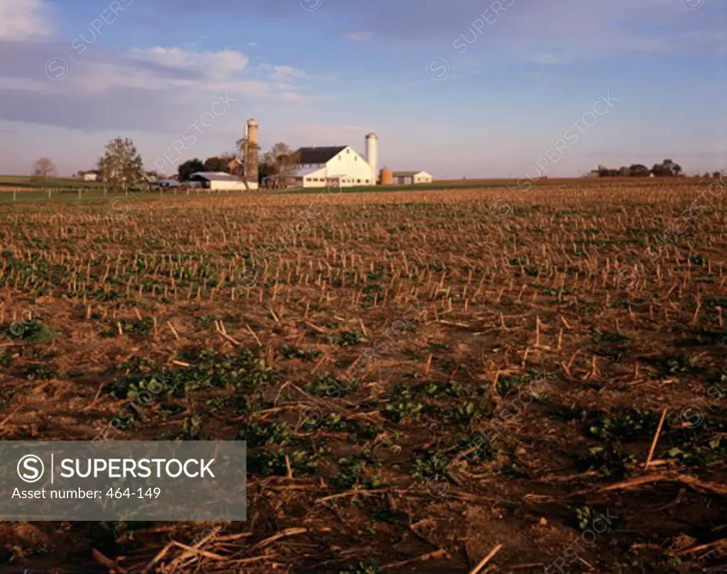 Amish Farm Strasburg Pennsylvania USA