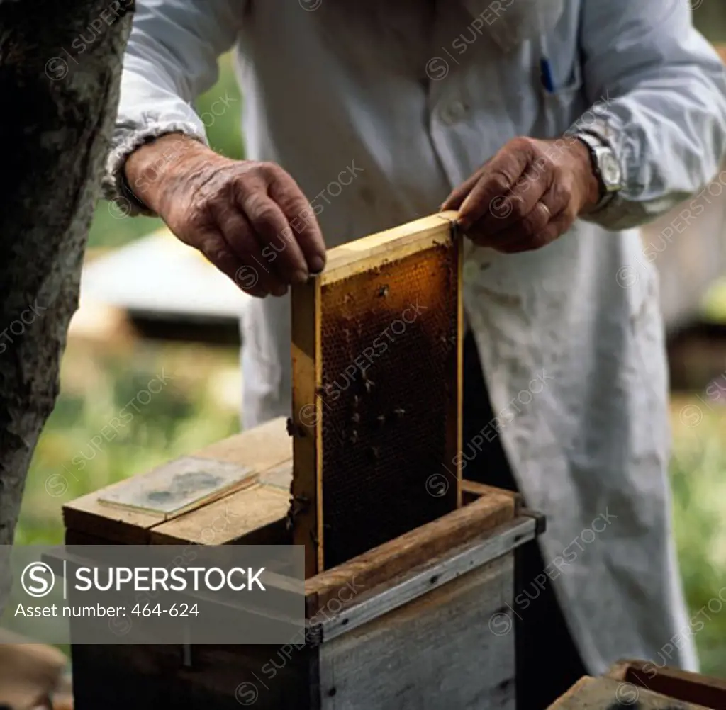 Mid section view of a beekeeper, Etivaz, Vevey, Switzerland
