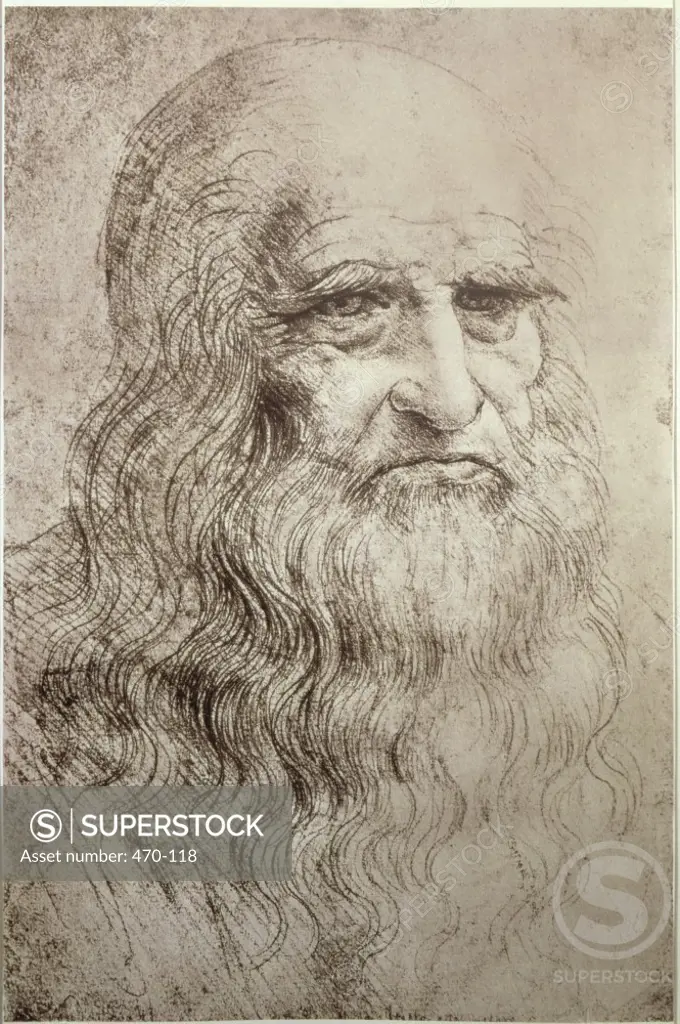 Self Portrait  in Old Age ca.1512  Leonardo da Vinci (1452-1519 Italian) Chalk and ink    Biblioteca Reale, Turin, Italy