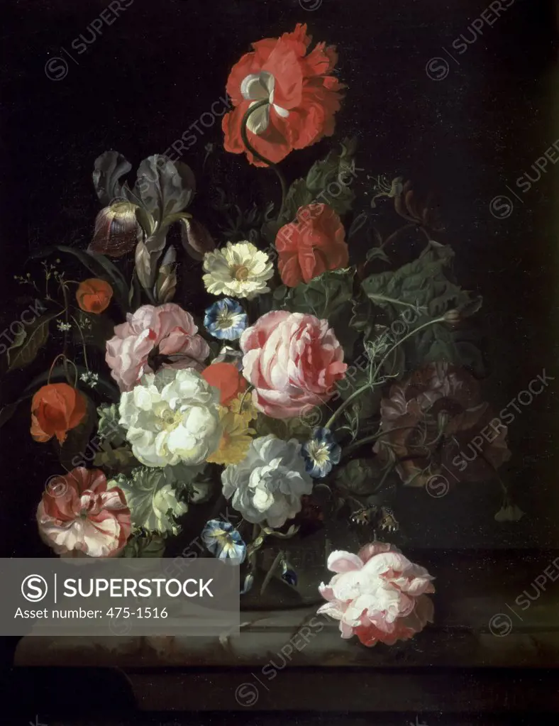 Flower Piece Rachel Ruysch (1664-1750/Dutch) Cheltenham Art Gallery and Museums Gloucestershire, England 