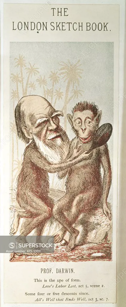Darwin With An Ape , Cartoon  Artist Unknown Downe House, Downe, London, England 